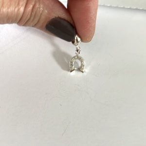 Horseshoe charm